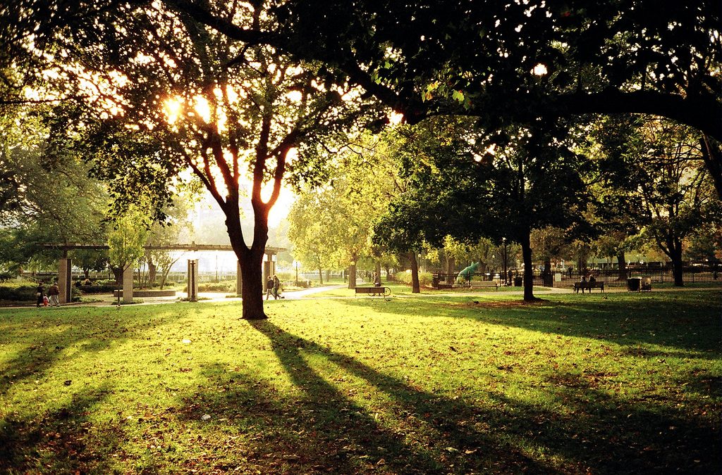 biodiverCités : un guide pour la planification et la gestion municipales de la biodiversité