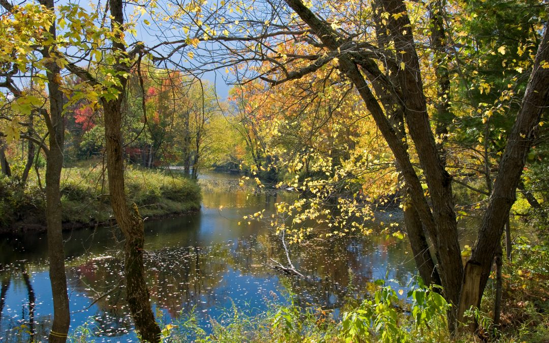 City of Kawartha Lakes Healthy Environment Plan