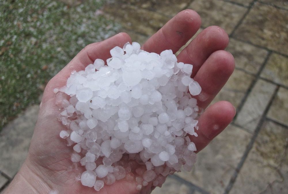 Region of Waterloo Community Climate Adaptation Plan (BARC Program)