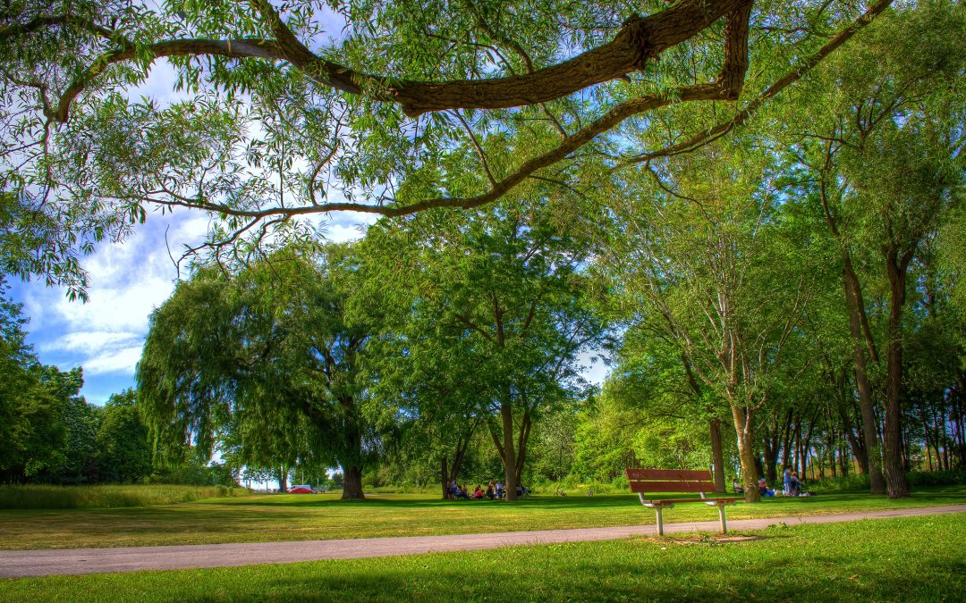 City of Waterloo Corporate Climate Change Adaptation Plan