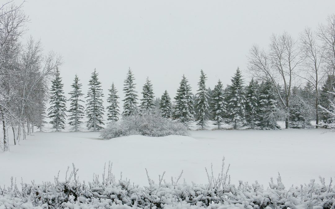 Capacity Building for Climate Resilience in Manitoba