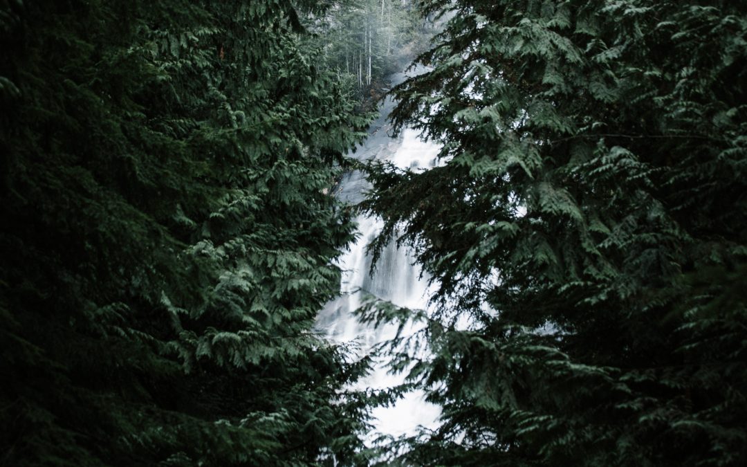 District of North Vancouver Climate Change Adaptation Strategy (BARC Program)