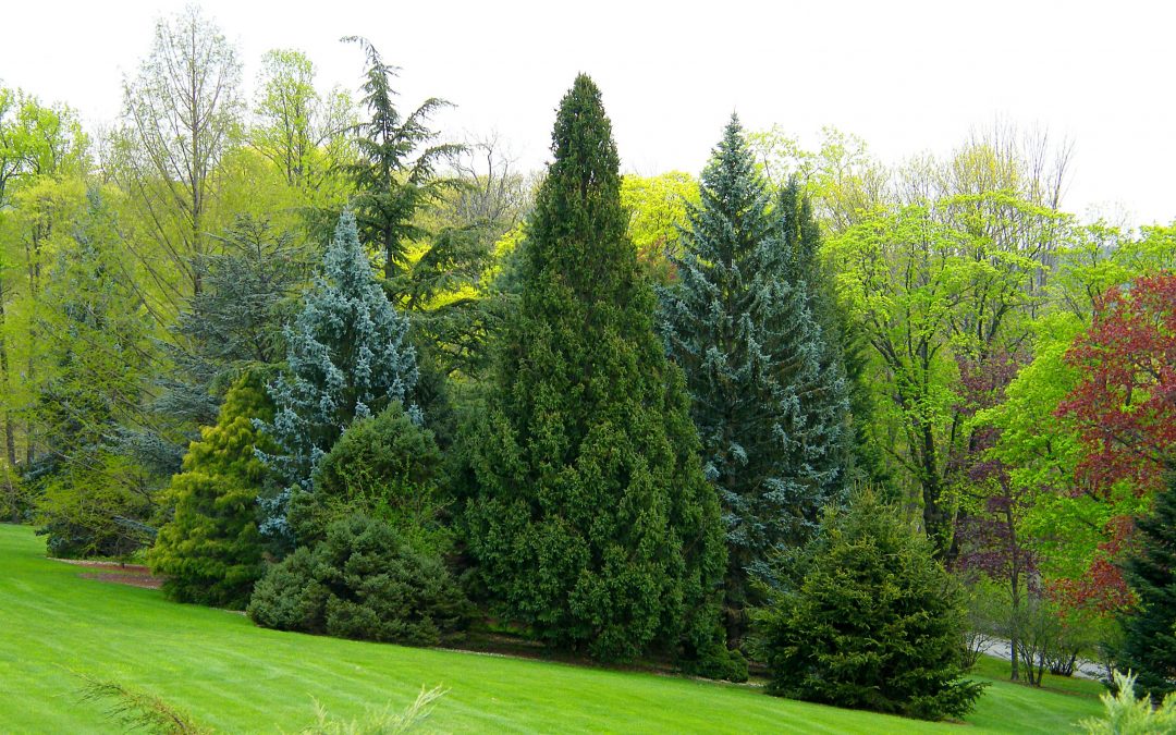 Are We There Yet? Applying Sustainability Indicators to Measure Progress