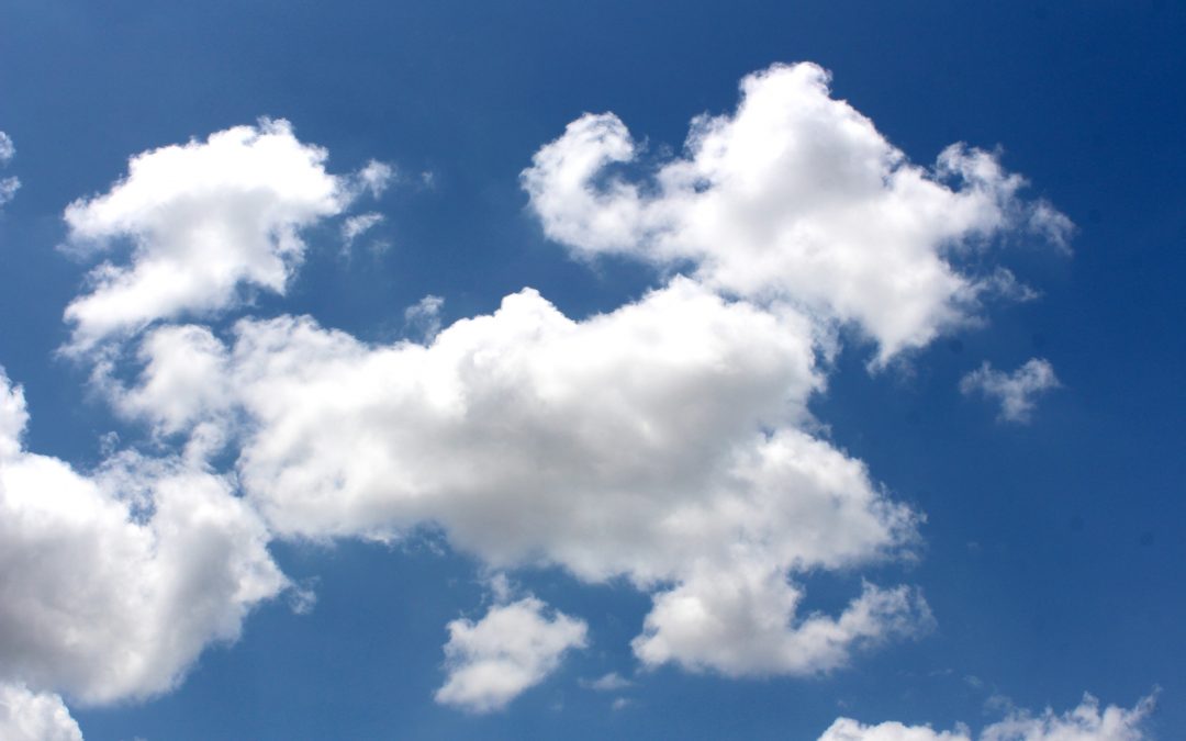 Finding the Nexus: Exploring Climate Change Adaptation and Biodiversity