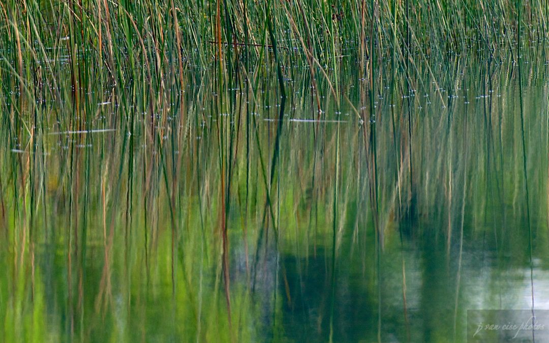 Making Strides on Community Adaptation: Abridged Resources