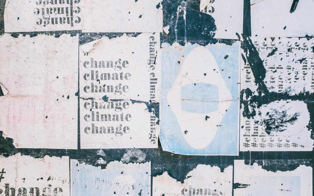 Adaptation Changemakers Project