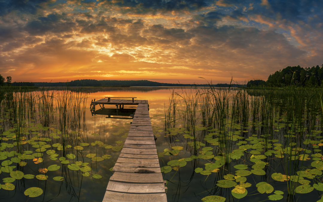 District of Muskoka GHG Inventory and Emission Reduction Strategy