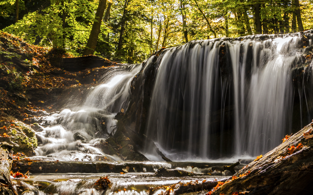 Grey County Climate Change Action Plan