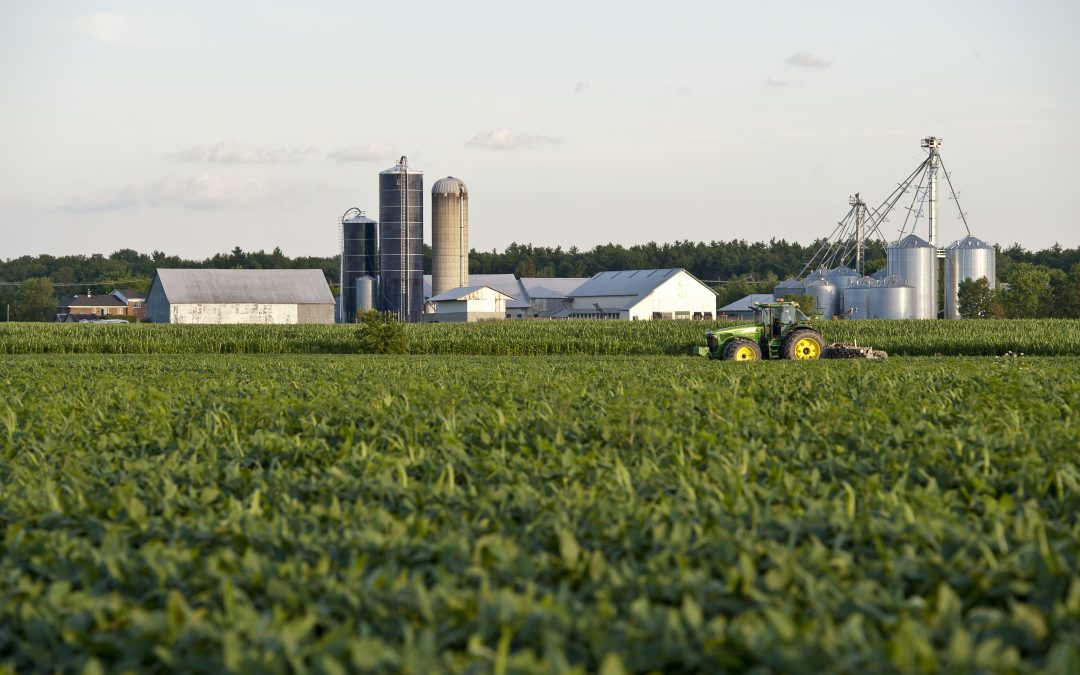 Plan d&rsquo;adaptation aux changements climatiques des MRC de Mirabel and Thérèse-De Blainville