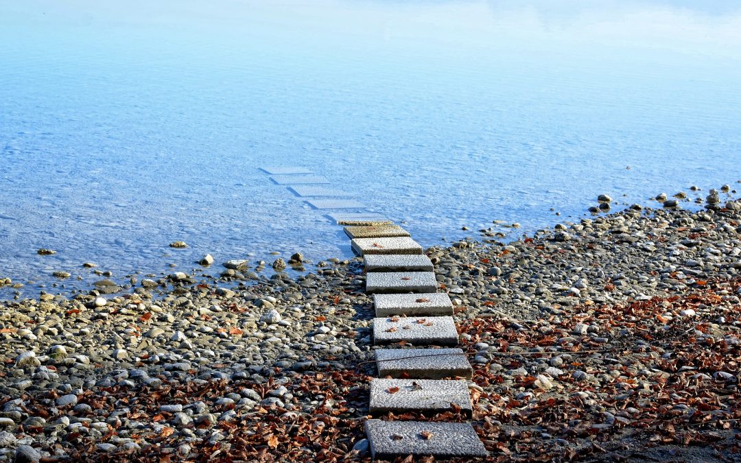 Getting Started: Exploring Entry Points into Adaptation