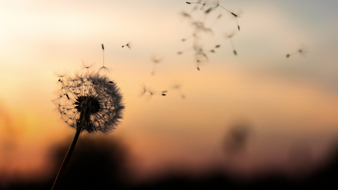 Infolettre de septembre 2025