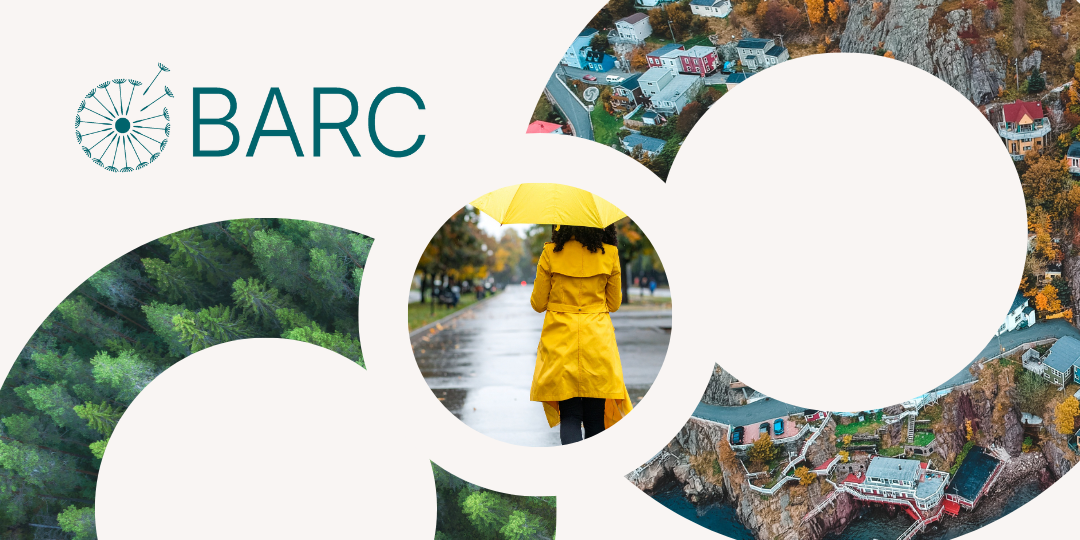 The BARC Framework: A Clear Roadmap from Risk to Results