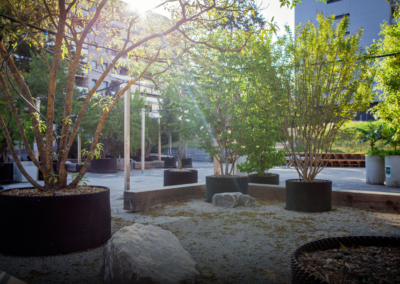 A Practical Guide to Bringing Resilience Hubs to Your Community